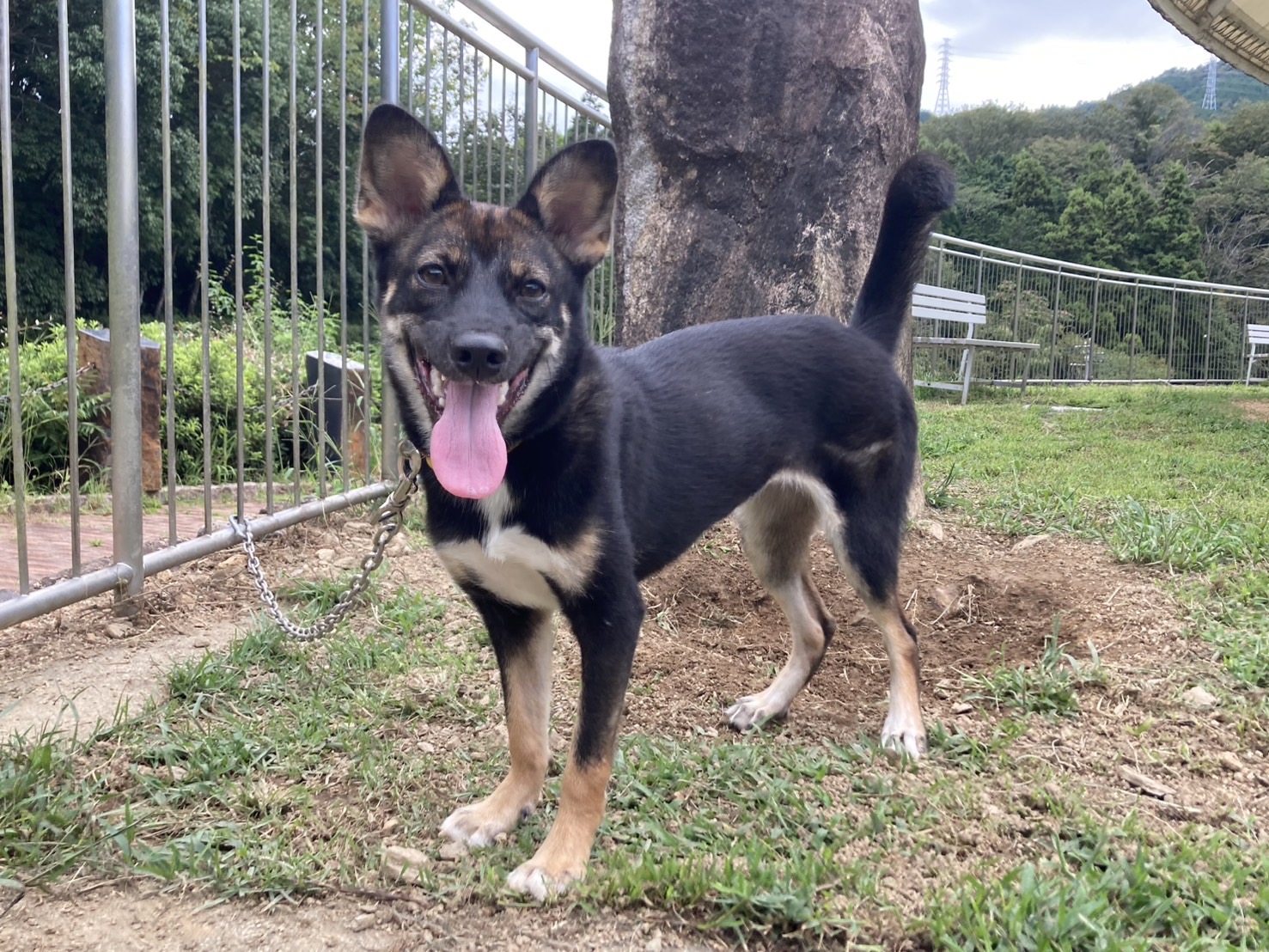 Ｄ２５０１１２