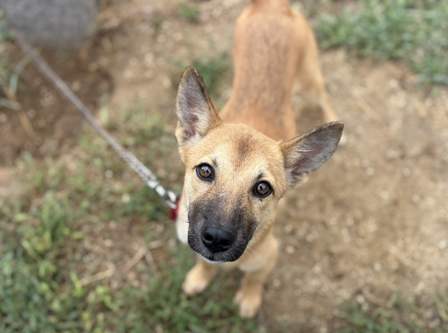 Ｄ２５０２０１