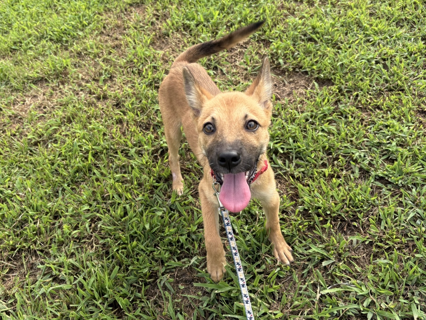 Ｄ２５０２０１