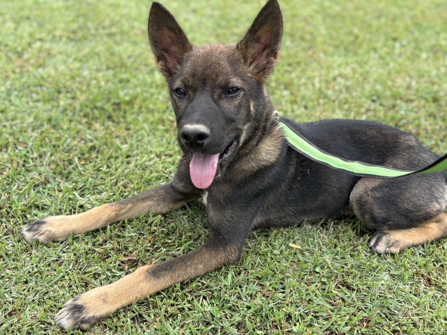 登録している生体