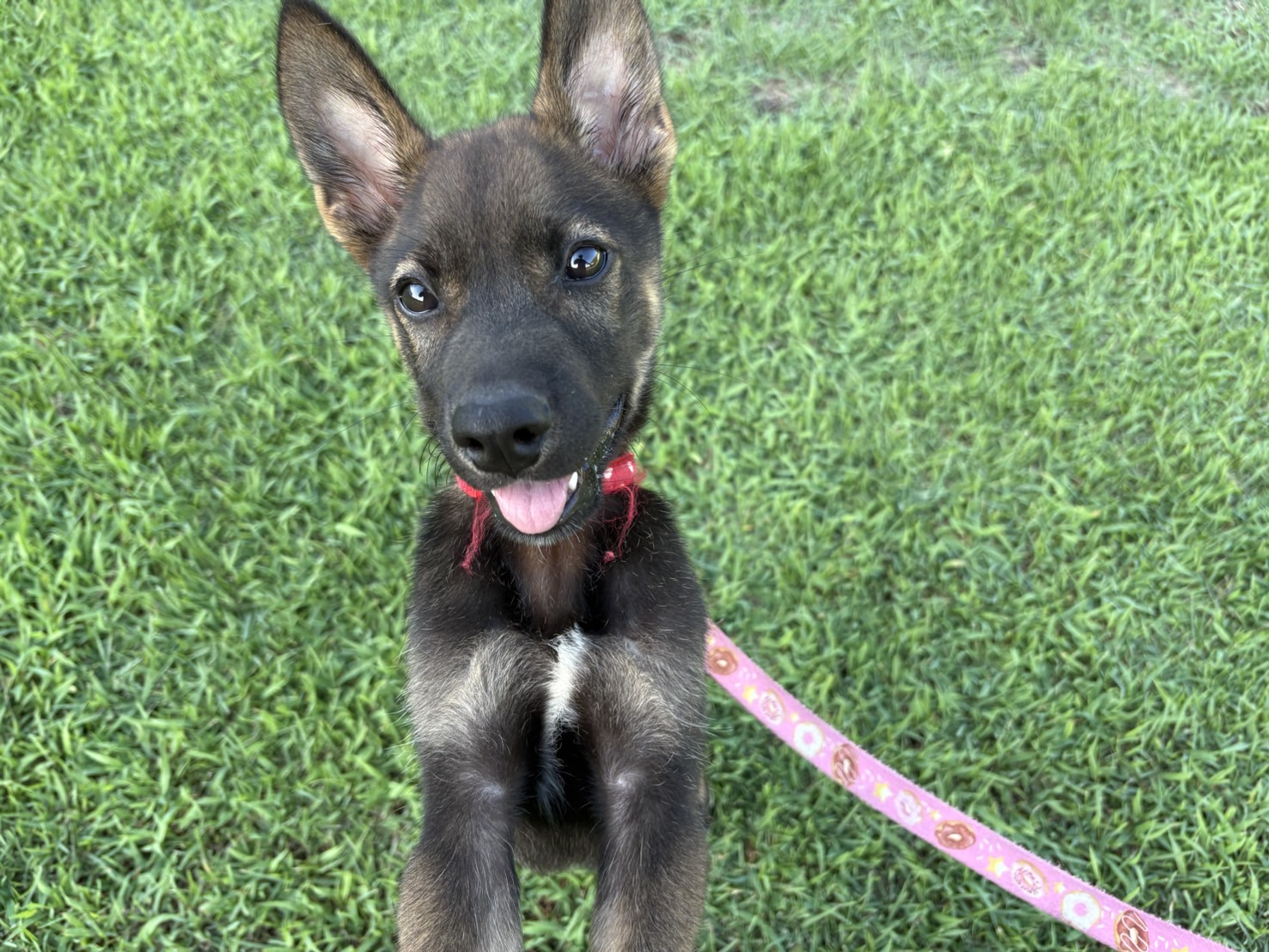 Ｄ２５０１５９