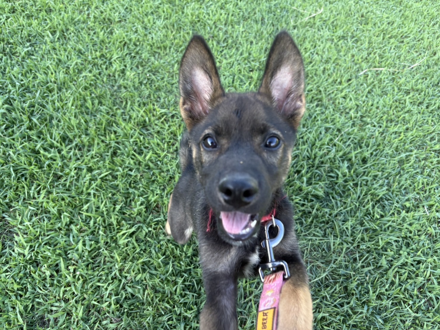 Ｄ２５０１５９