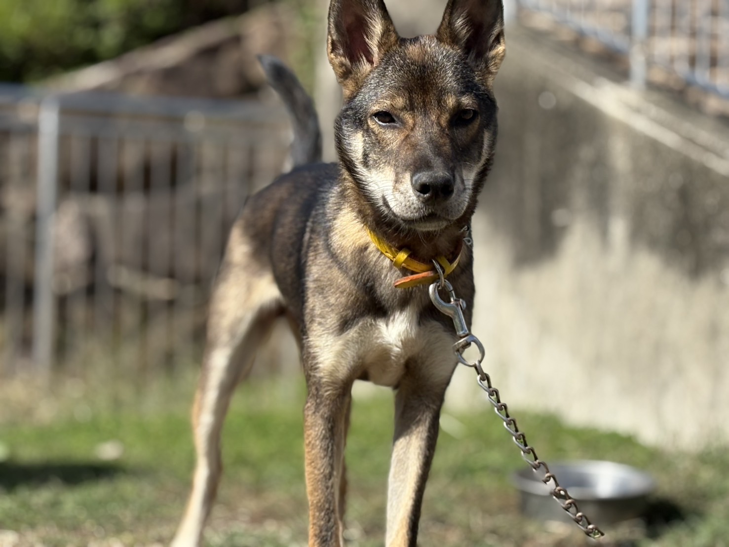 登録している生体