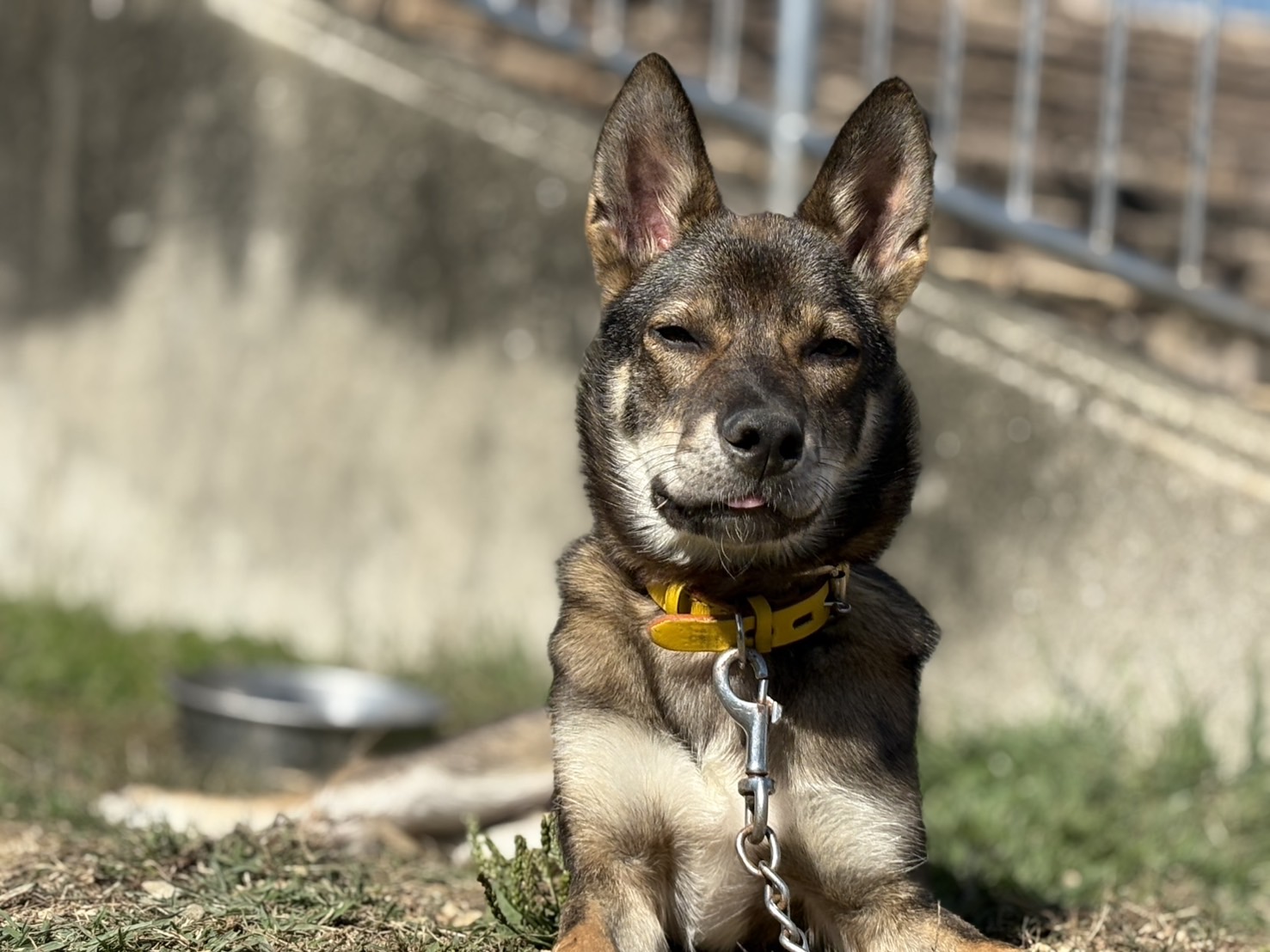 Ｄ２５００５７