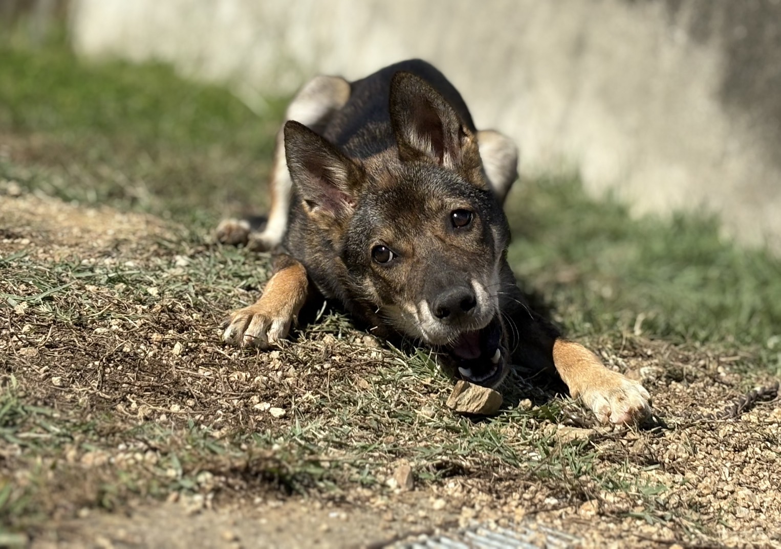 Ｄ２５００５７