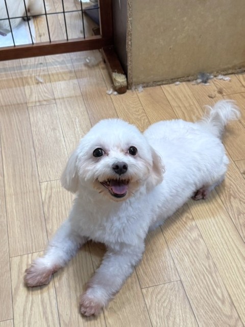 登録している生体