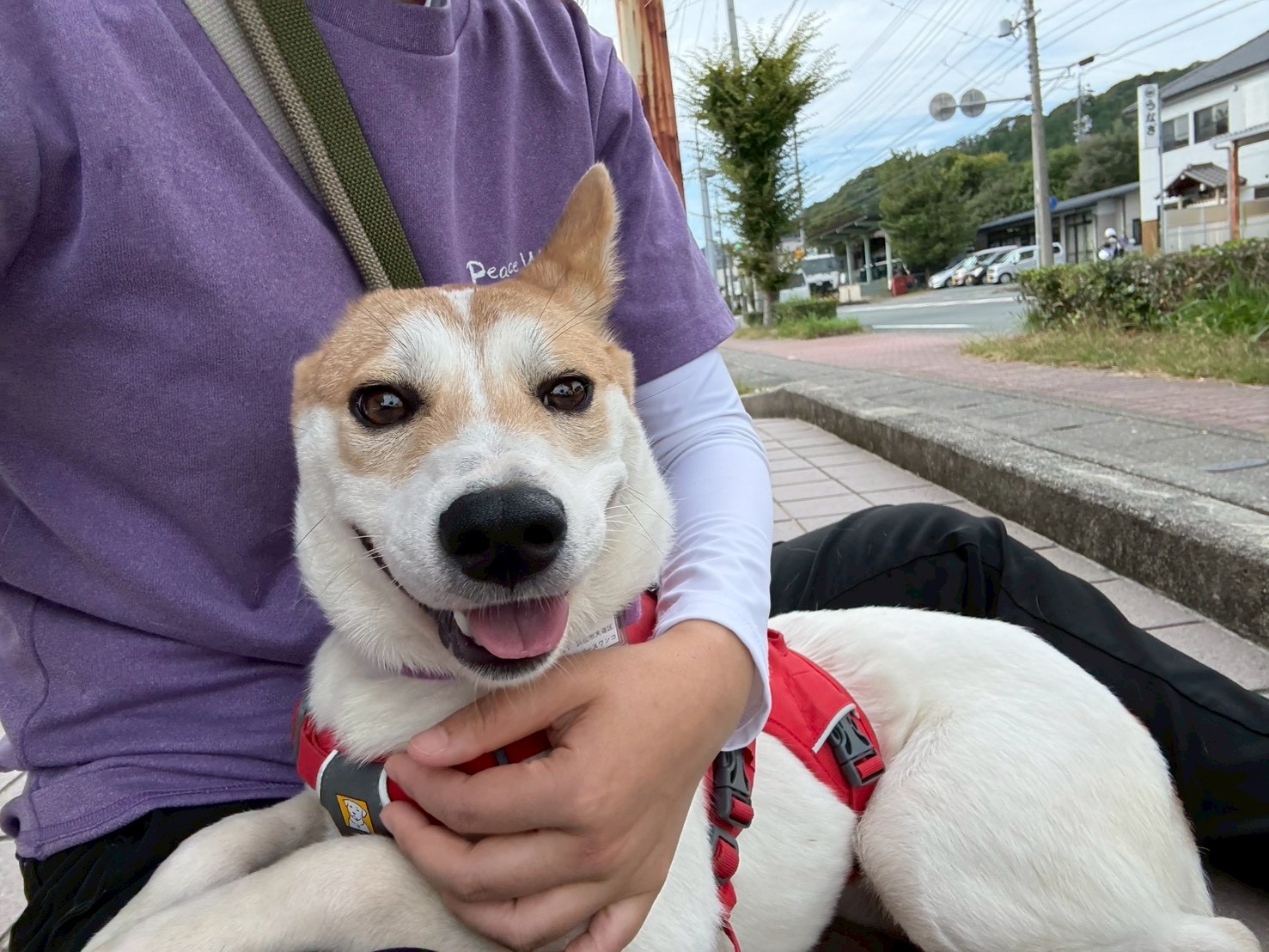 登録している生体