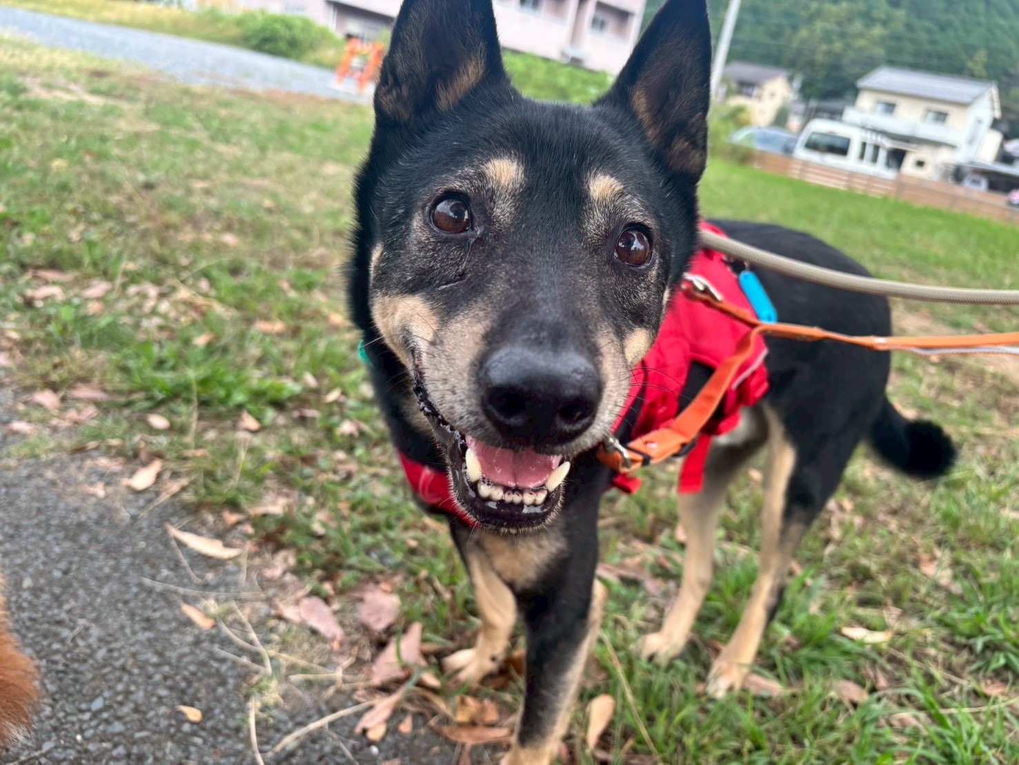 登録している生体