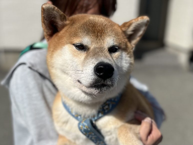 登録している生体