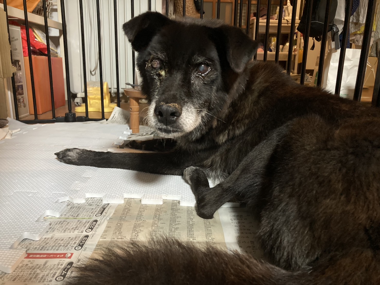 登録している生体