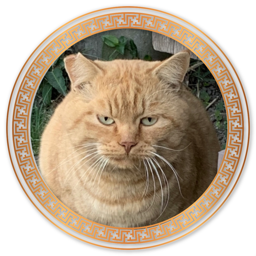 ちた地域ねこの会