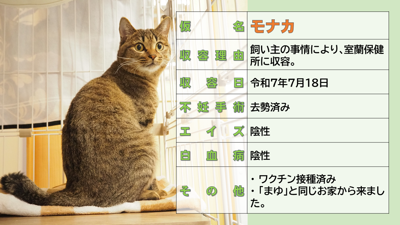 登録している生体