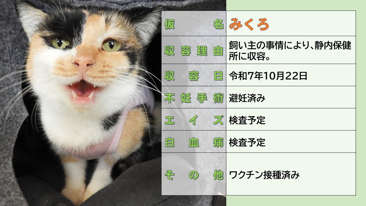 登録している生体