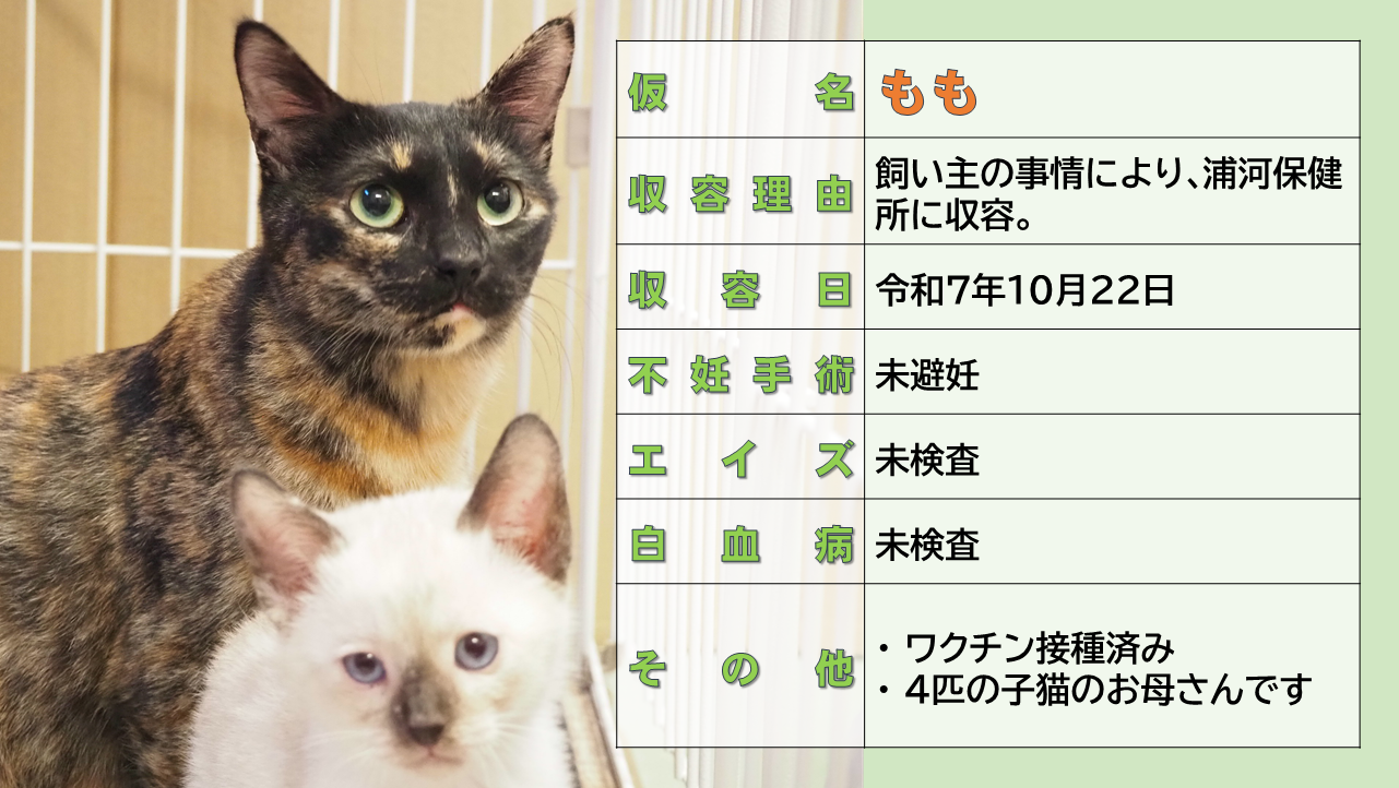 登録している生体