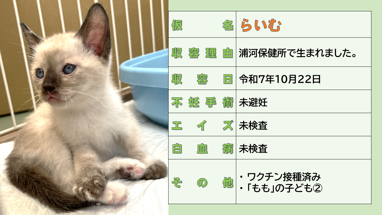 登録している生体