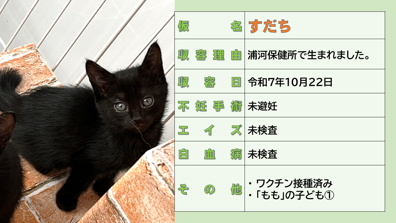 登録している生体