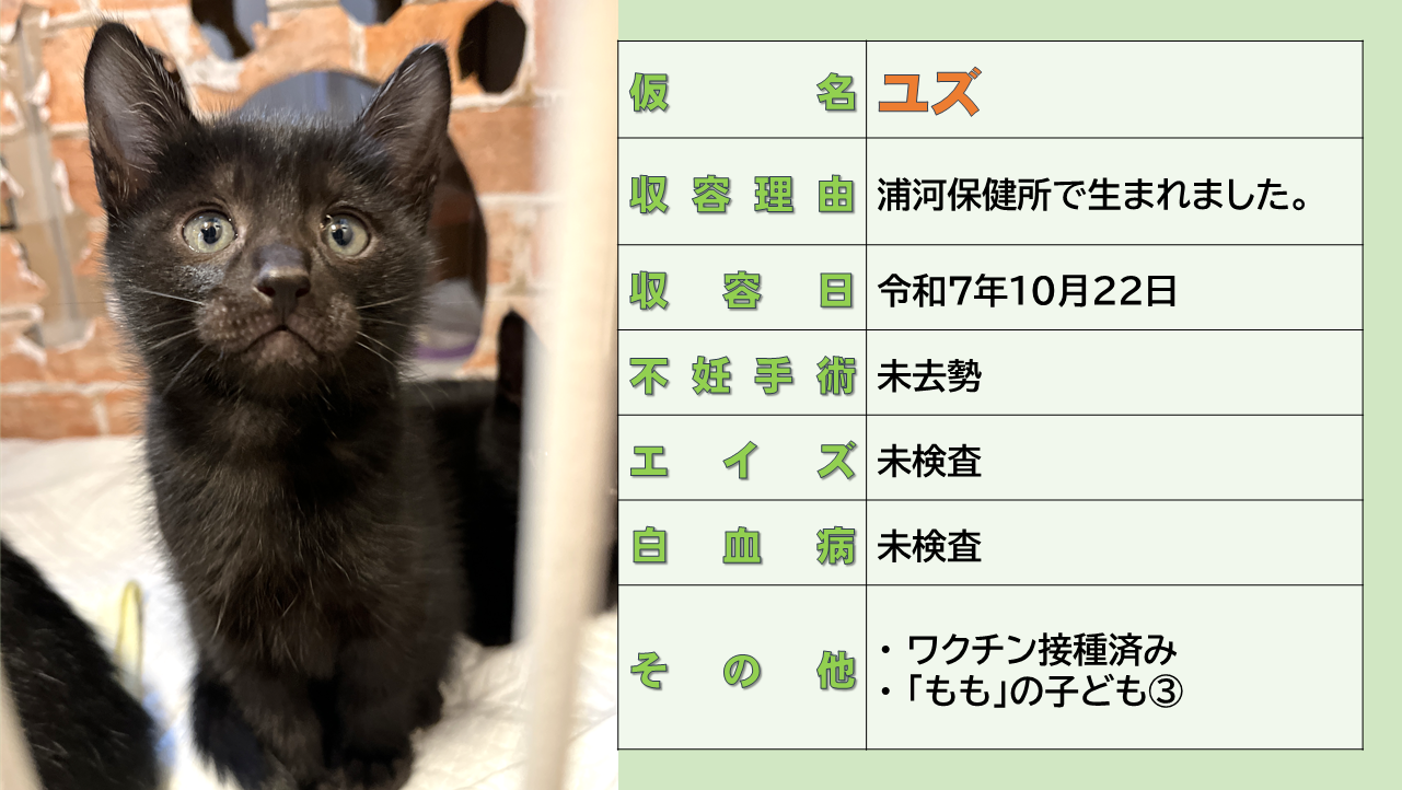 登録している生体