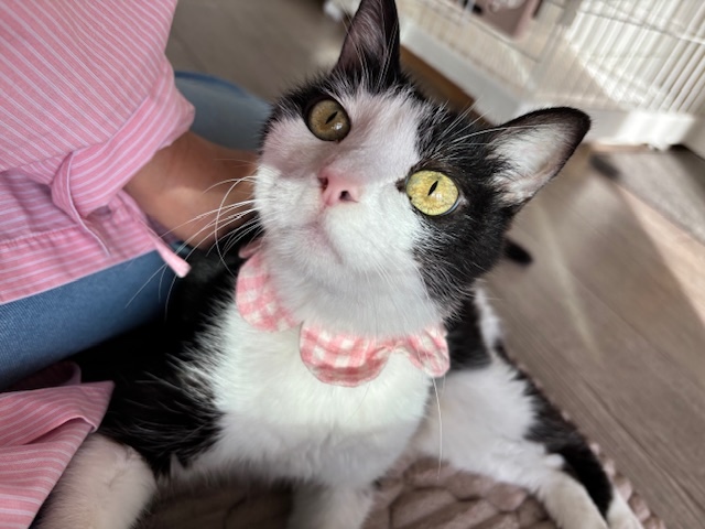 登録している生体