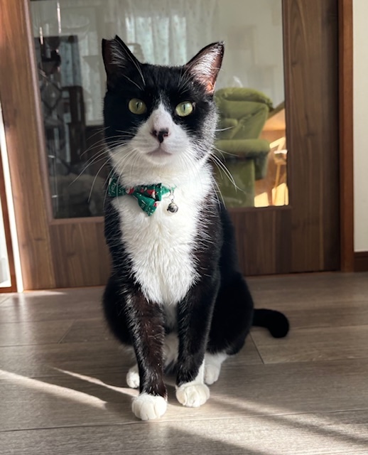 登録している生体