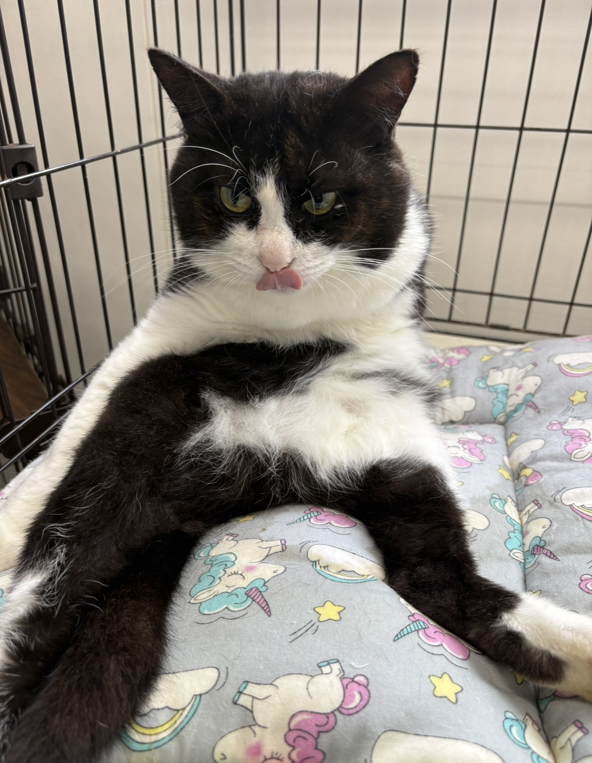 登録している生体