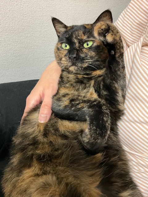 登録している生体