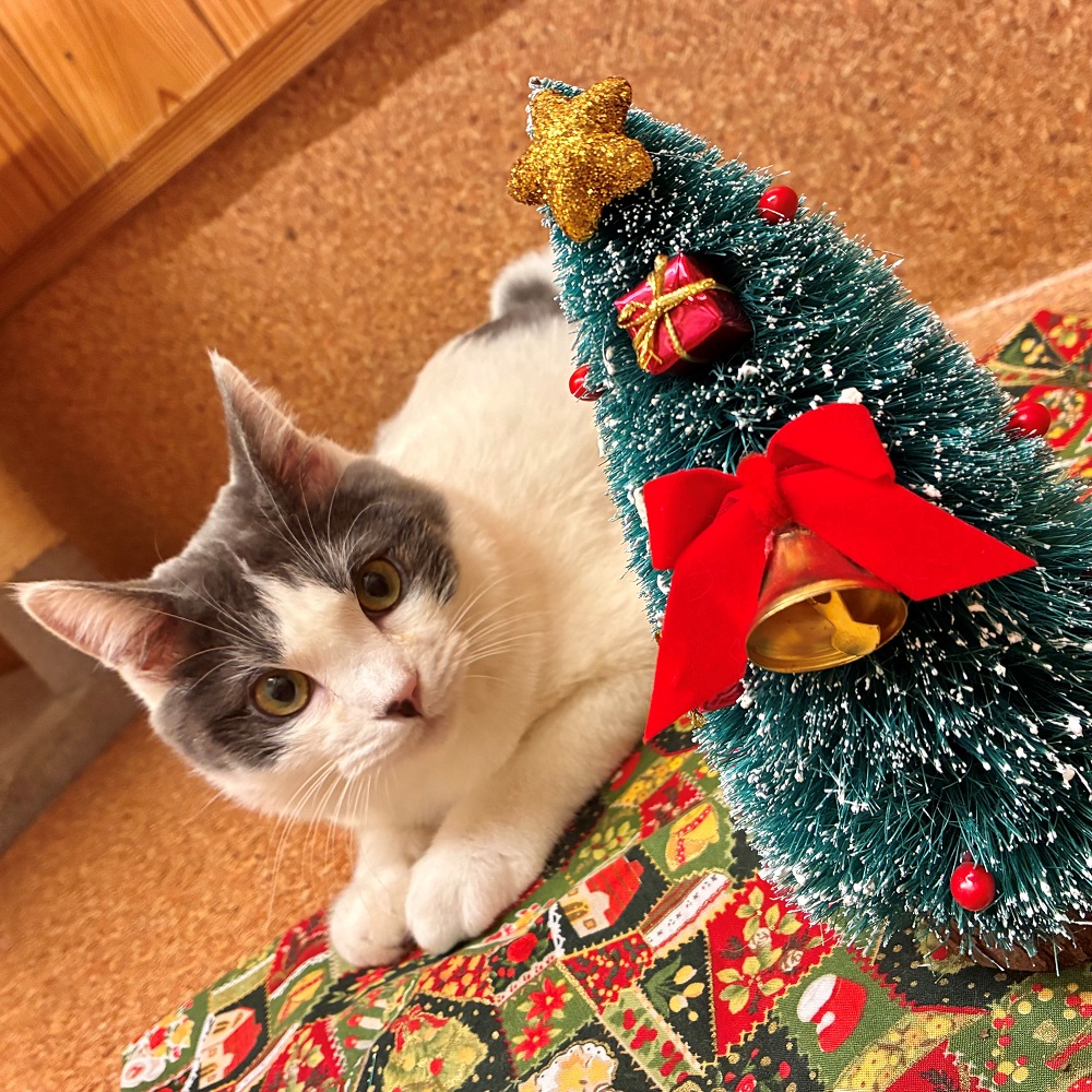 登録している生体