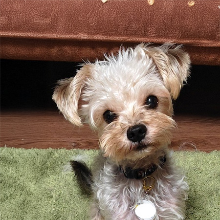 登録している生体