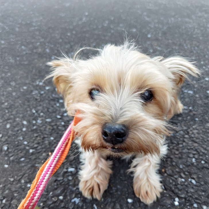 登録している生体