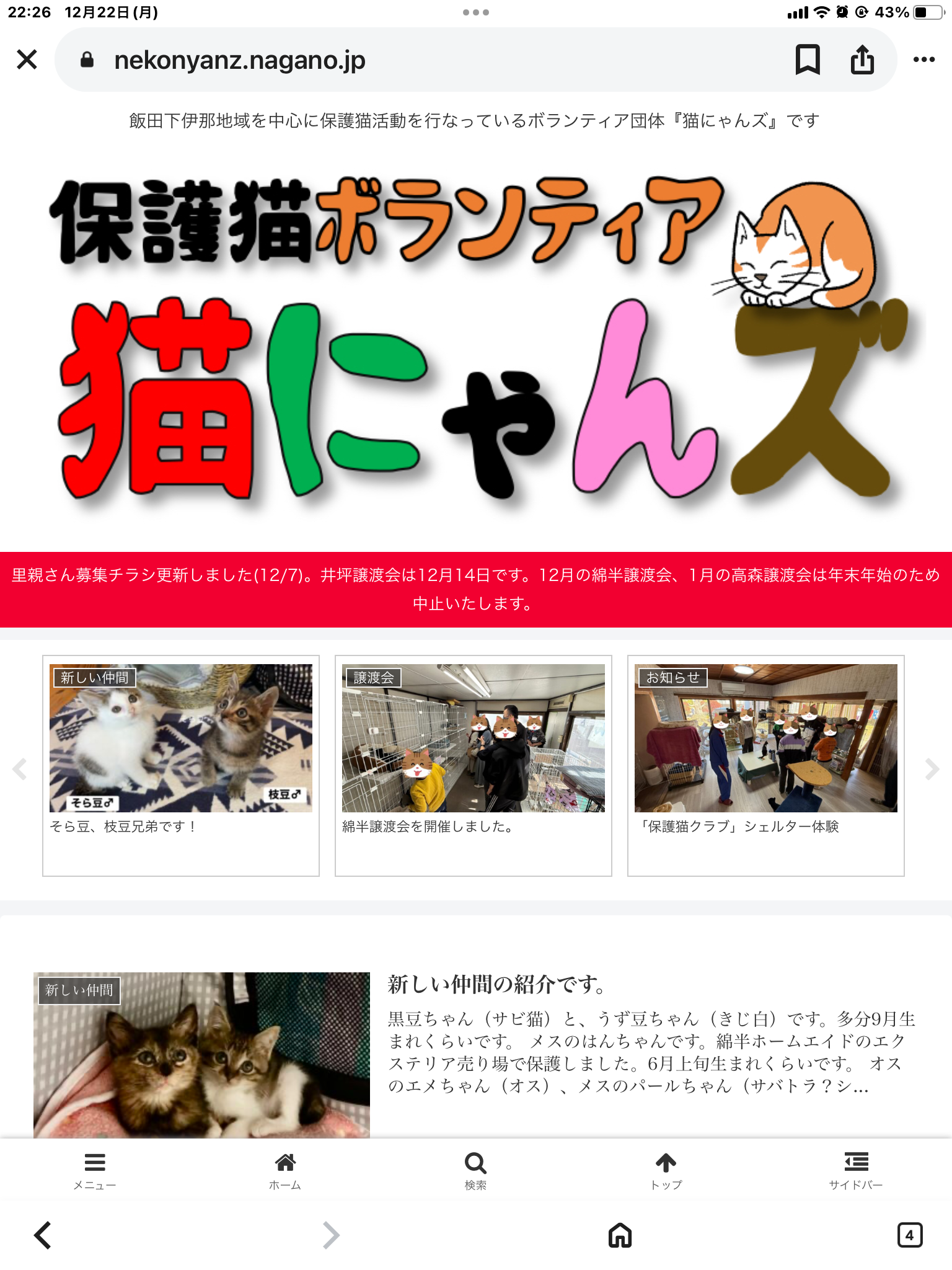 保護猫ボランティア 猫にゃんズ