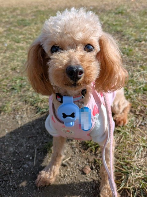 登録している生体