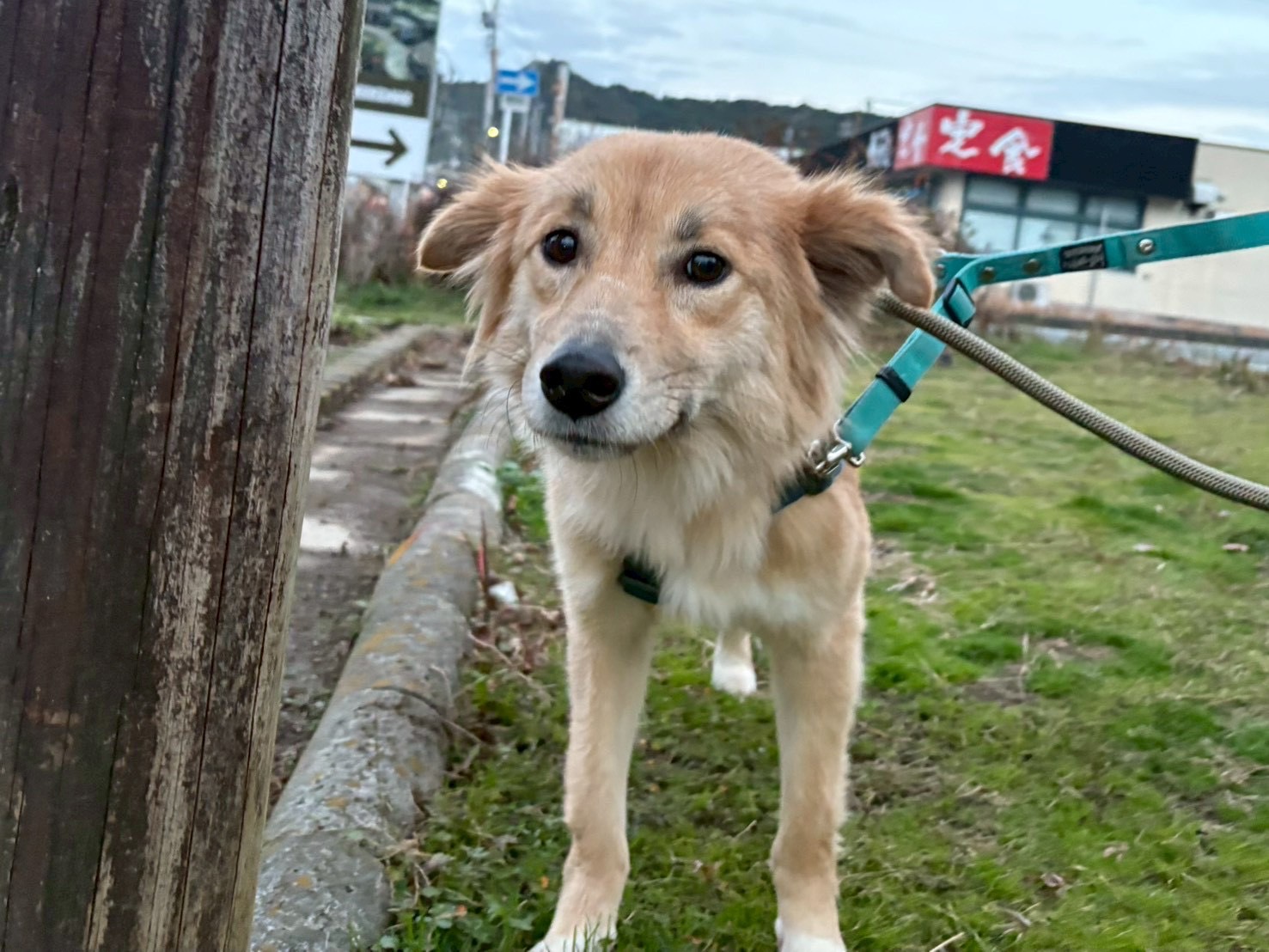 登録している生体