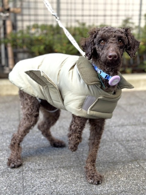 登録している生体