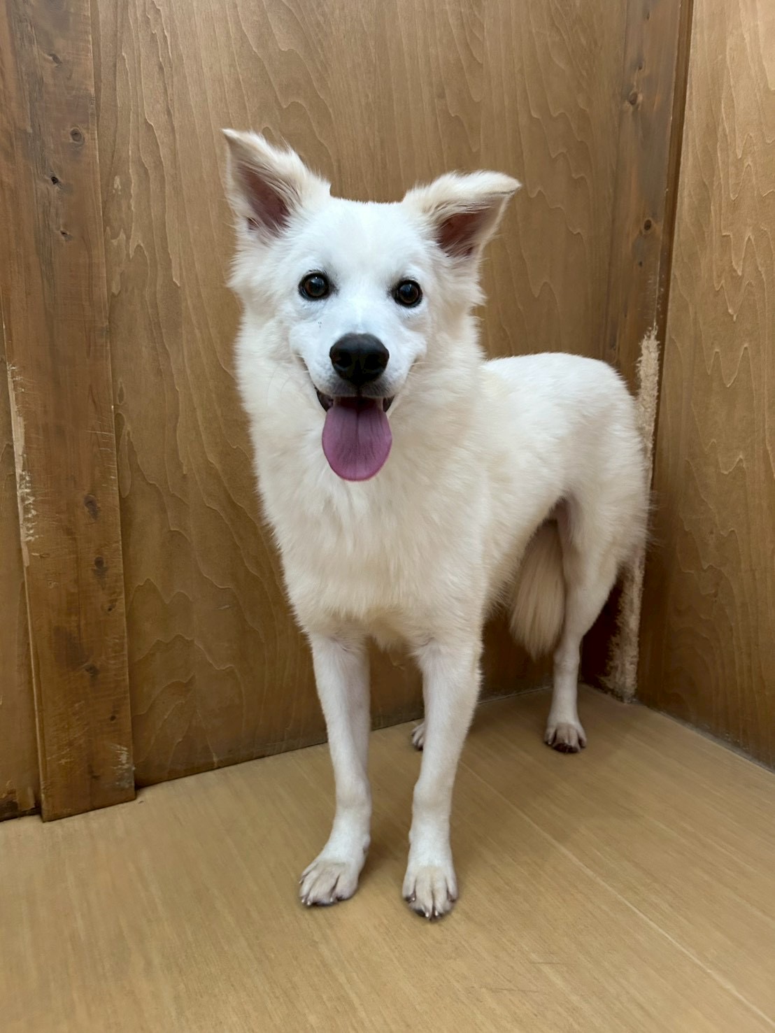 登録している生体