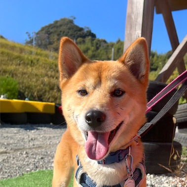 登録している生体