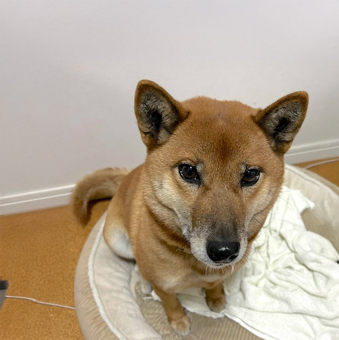 登録している生体