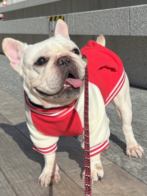 登録している生体