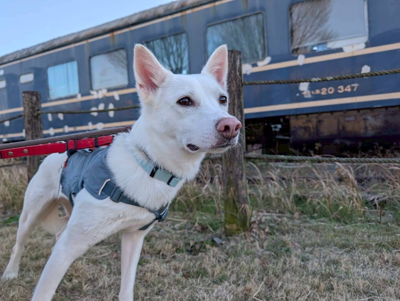 登録している生体