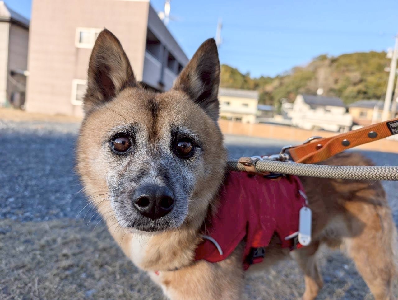 登録している生体