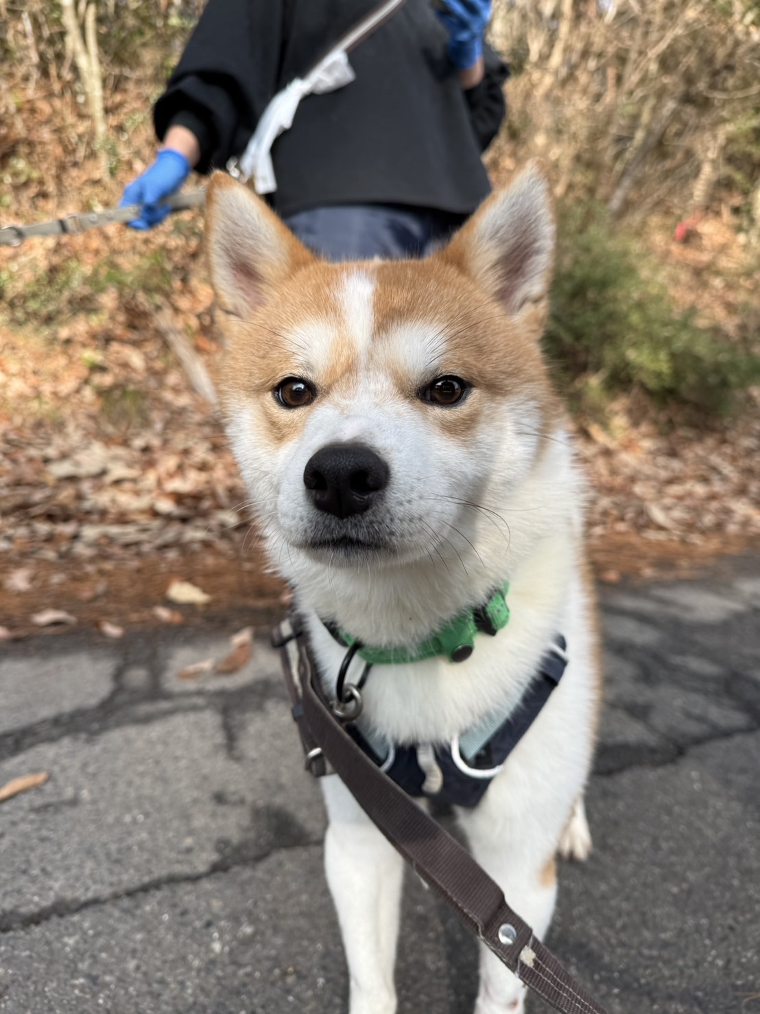 登録している生体