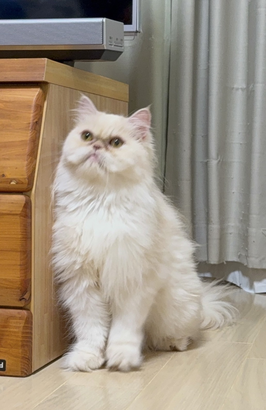 登録している生体