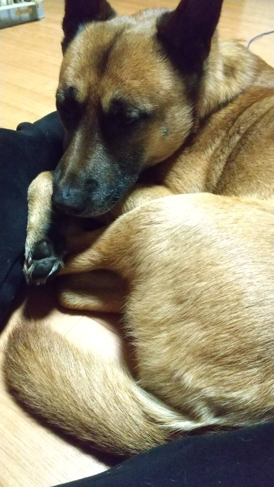 ちび之丞（ちびのじょう）