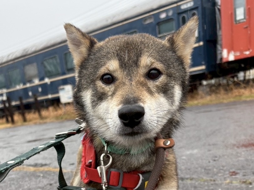 登録している生体