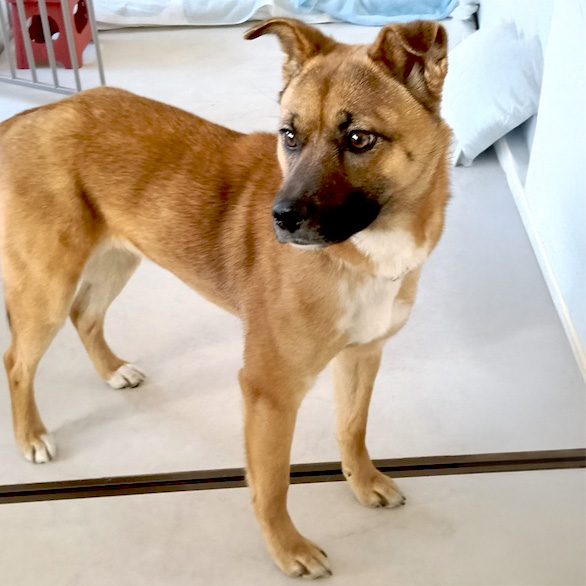 ＮＯＩ（ノイ）