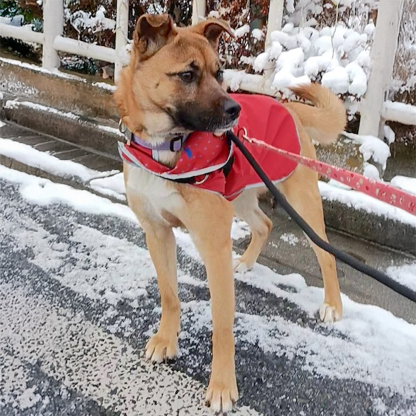 ＮＯＩ（ノイ）