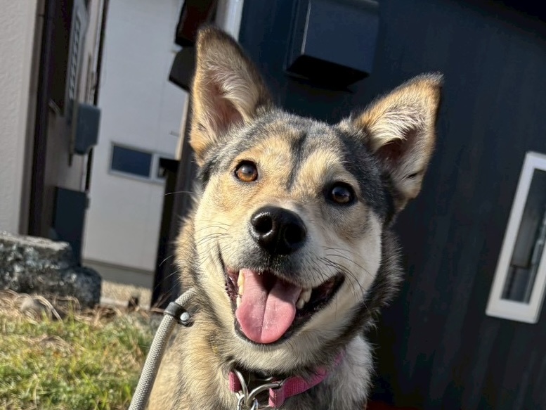 登録している生体