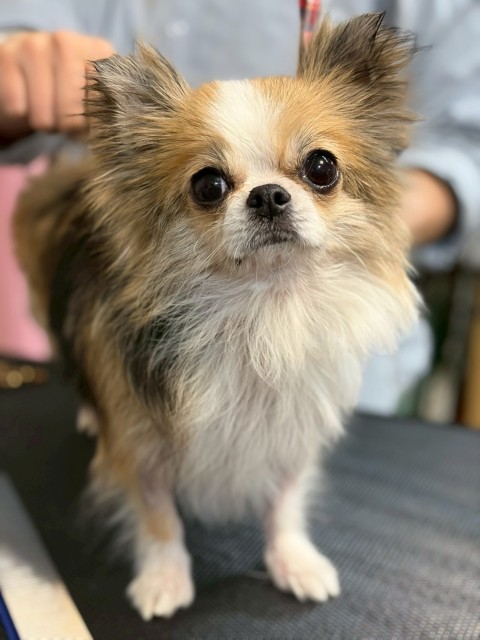 登録している生体