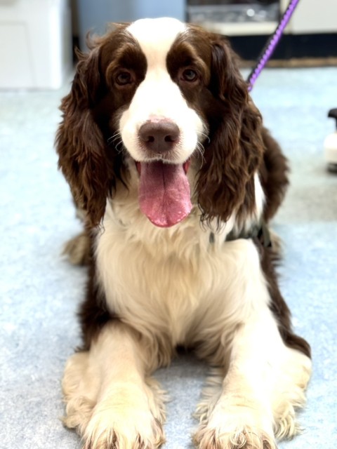 登録している生体