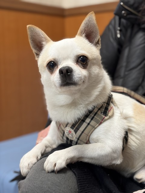 登録している生体