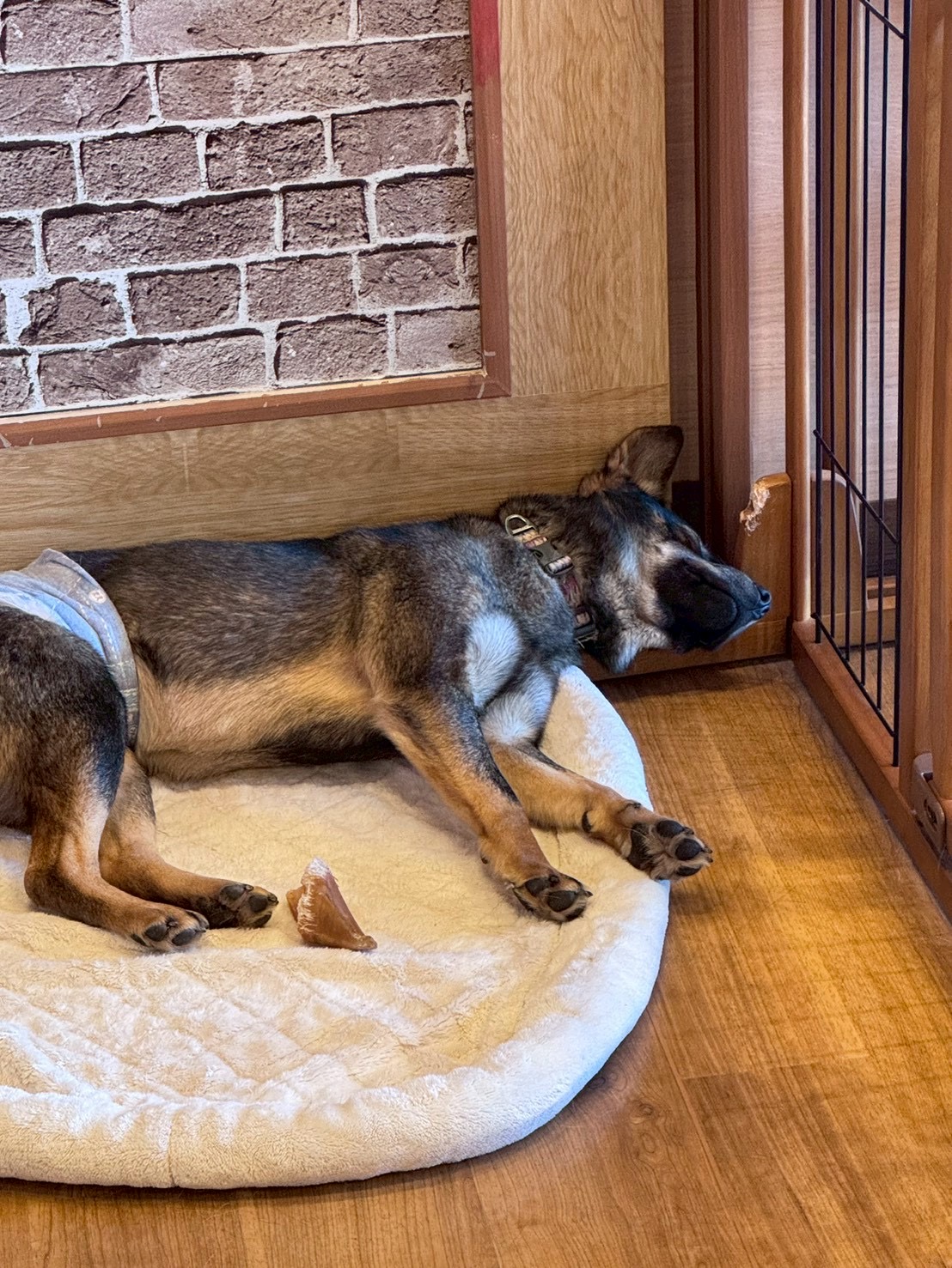 登録している生体