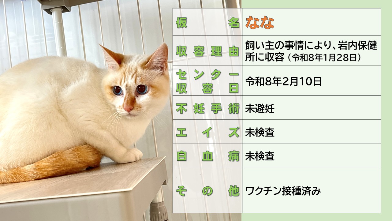 登録している生体